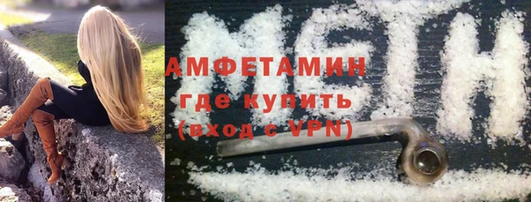 индика Няндома